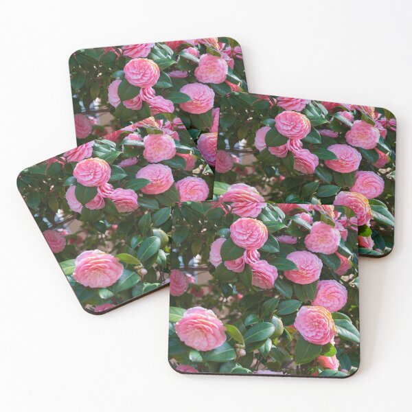 Item preview, Pink camellia blossom close-up designed and sold by Imagerisium.
