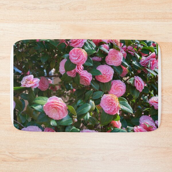 Item preview, Pink camellia blossom close-up designed and sold by Imagerisium.