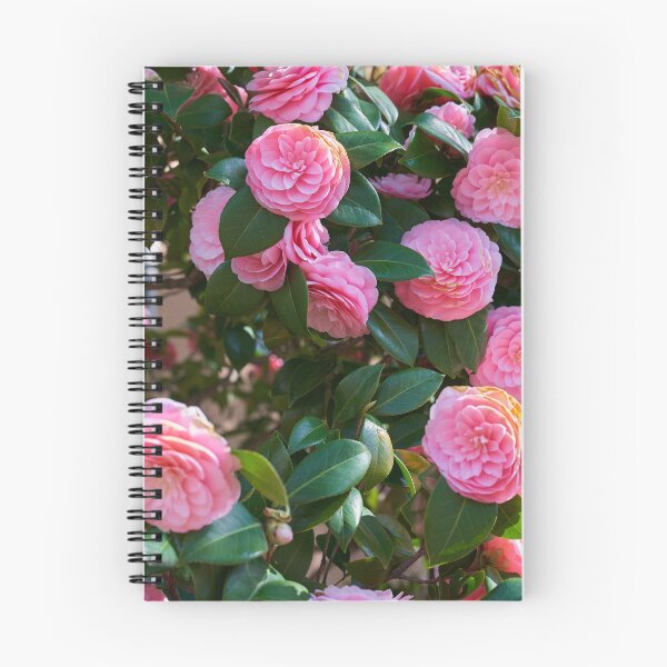 Item preview, Pink camellia blossom close-up designed and sold by Imagerisium.