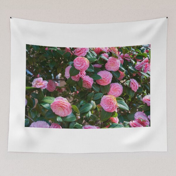 Item preview, Pink camellia blossom close-up designed and sold by Imagerisium.