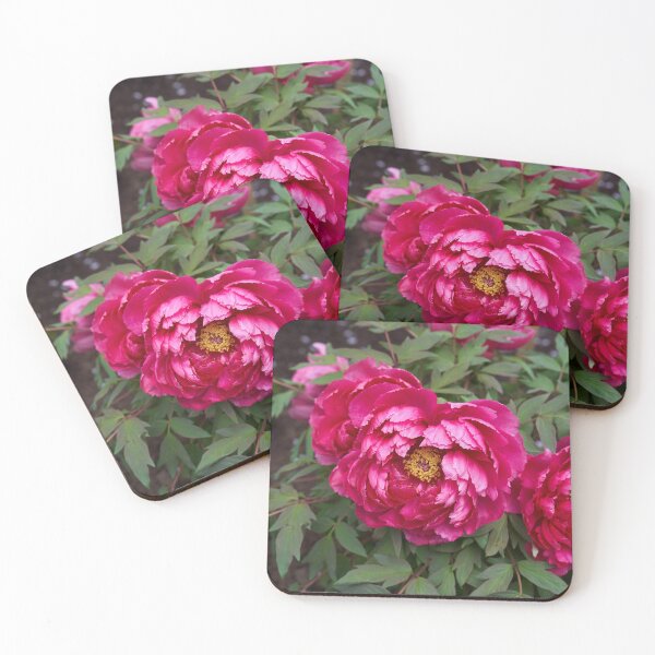 Item preview, Magenta peonies in full bloom designed and sold by Imagerisium.