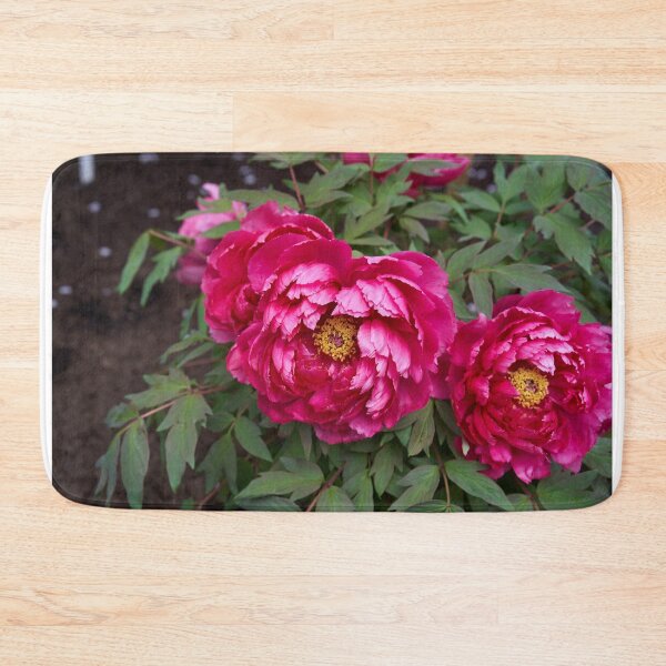 Item preview, Magenta peonies in full bloom designed and sold by Imagerisium.