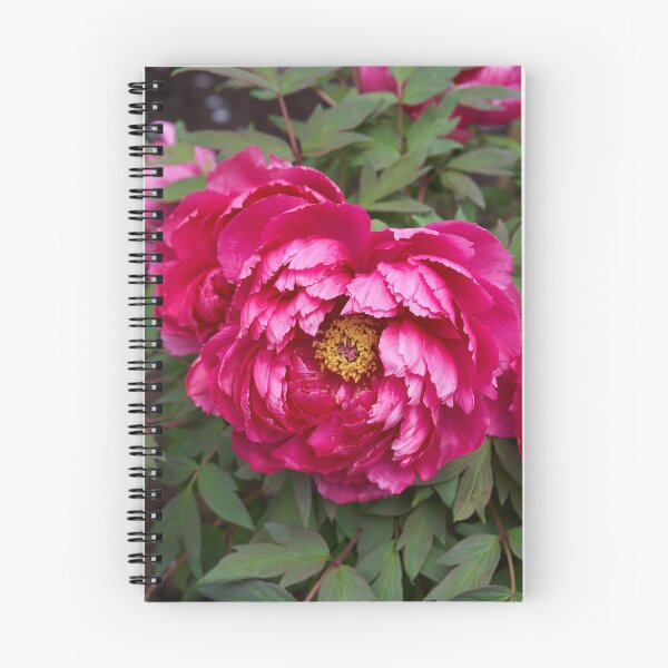 Item preview, Magenta peonies in full bloom designed and sold by Imagerisium.