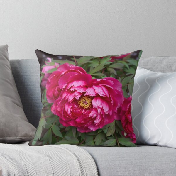 Item preview, Magenta peonies in full bloom designed and sold by Imagerisium.