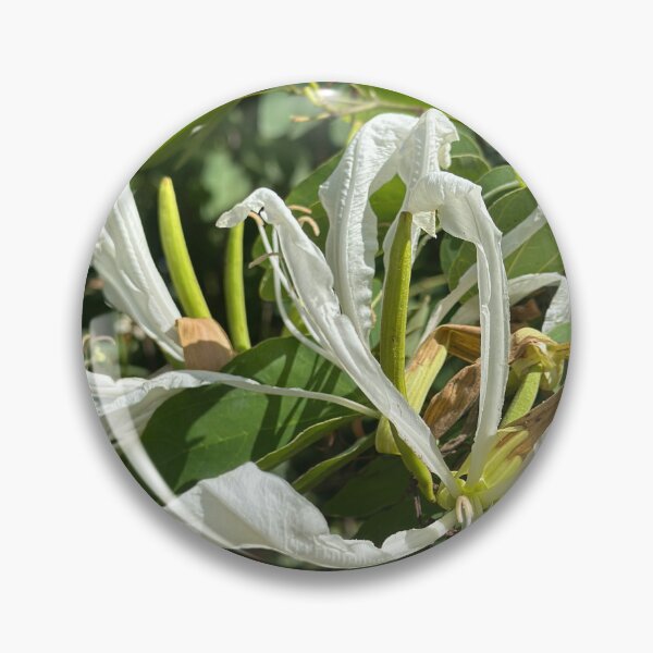 Item preview, Orchids that flutter like Butterflys designed and sold by artist4peace.