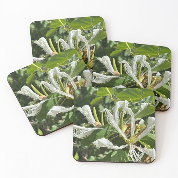 Item preview, Orchids that flutter like Butterflys designed and sold by artist4peace.