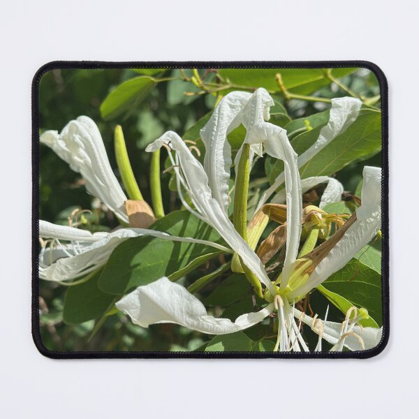 Item preview, Orchids that flutter like Butterflys designed and sold by artist4peace.