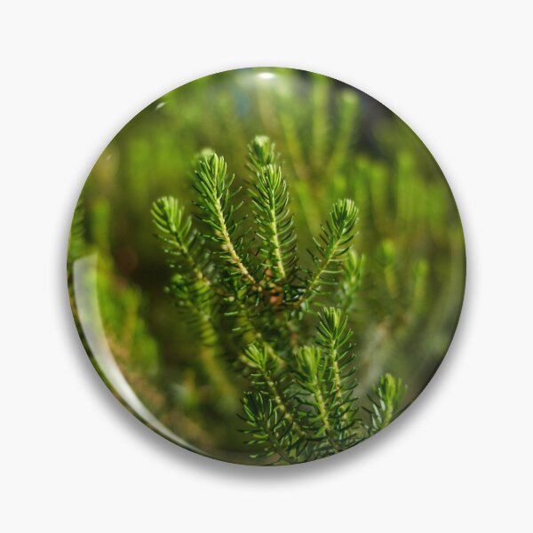 Item preview, Erica canariensis heath foliage Anaga designed and sold by Imagerisium.