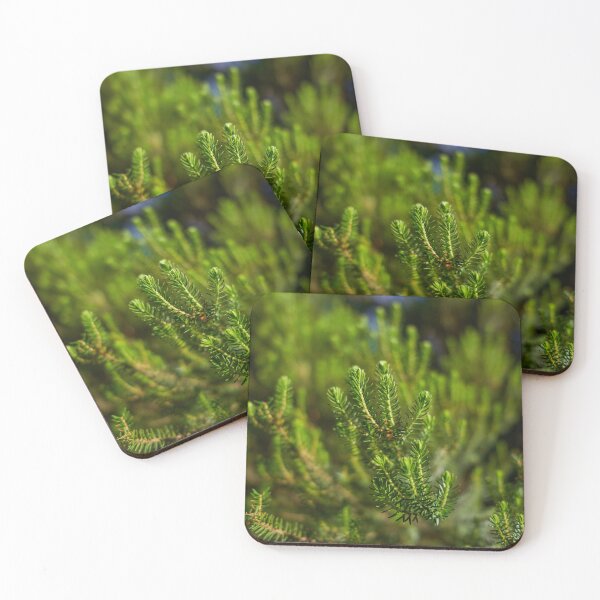 Item preview, Erica canariensis heath foliage Anaga designed and sold by Imagerisium.