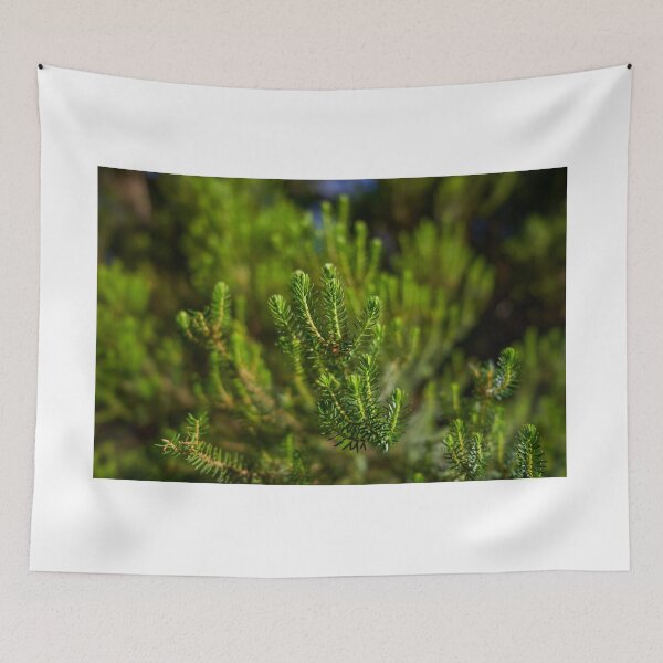 Item preview, Erica canariensis heath foliage Anaga designed and sold by Imagerisium.