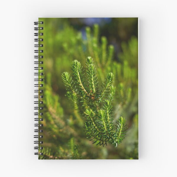 Item preview, Erica canariensis heath foliage Anaga designed and sold by Imagerisium.