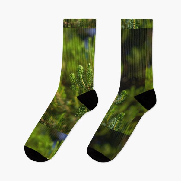 Item preview, Erica canariensis heath foliage Anaga designed and sold by Imagerisium.