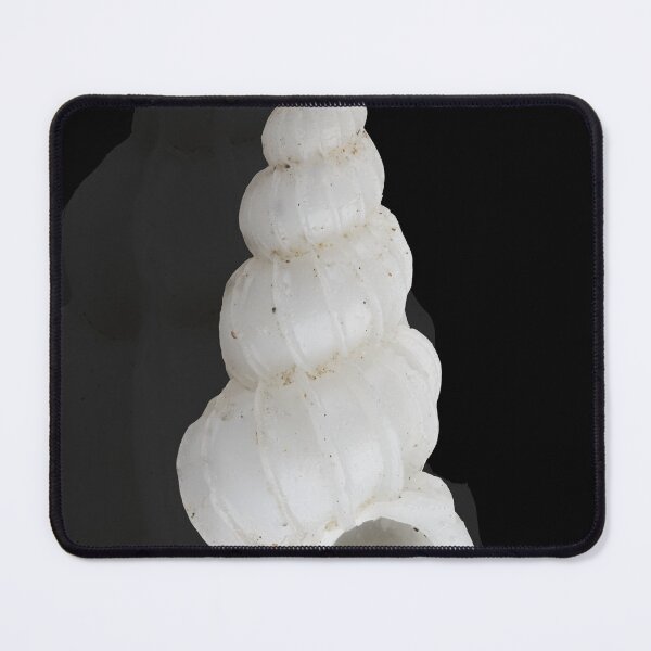Item preview, seashell photo wentel trap designed and sold by gypsywander.