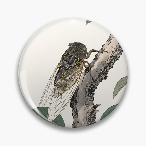 Item preview, Summer Cicada designed and sold by AlaisMathieu.