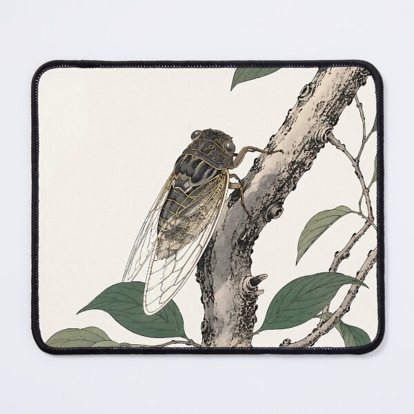 Item preview, Summer Cicada designed and sold by AlaisMathieu.