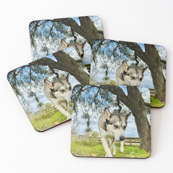 Item preview, Heterochromia Husky – Under the Tree designed and sold by QuietBloomDHS.