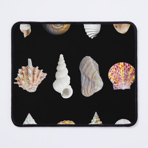 Item preview, Florida sea shell poster and prints designed and sold by gypsywander.