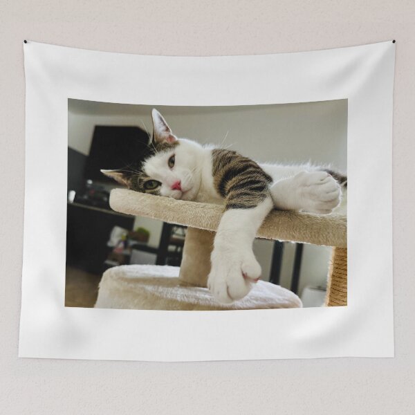 Item preview, Cat on Bed – Soft Indoor Light designed and sold by QuietBloomDHS.