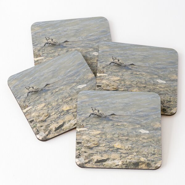 Item preview, Driftwood designed and sold by NitaKing.