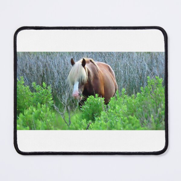 Item preview, "Riptide" meeting at the Fence designed and sold by kimbarose.