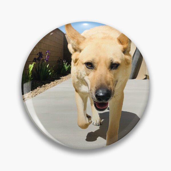 Item preview, Tan German Shepherd Mix – Side Gate designed and sold by QuietBloomDHS.