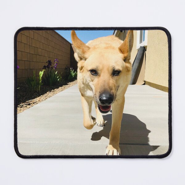 Item preview, Tan German Shepherd Mix – Side Gate designed and sold by QuietBloomDHS.