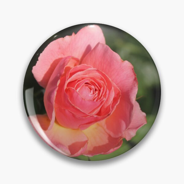 Item preview, Romantic pink rose macro - Soft nature photography designed and sold by Cha-s-lens.
