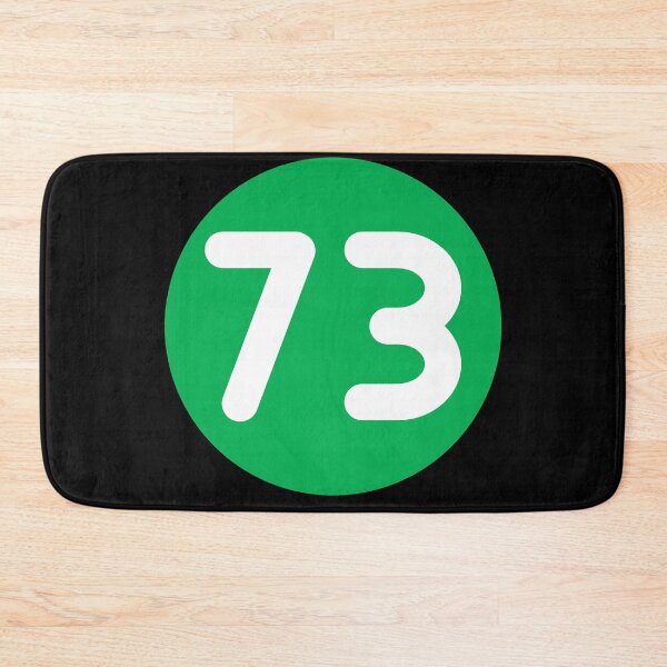 Item preview, Nerdy 73 Best Number Mirror Prime Math Teacher White Green designed and sold by MathWare MathClips.