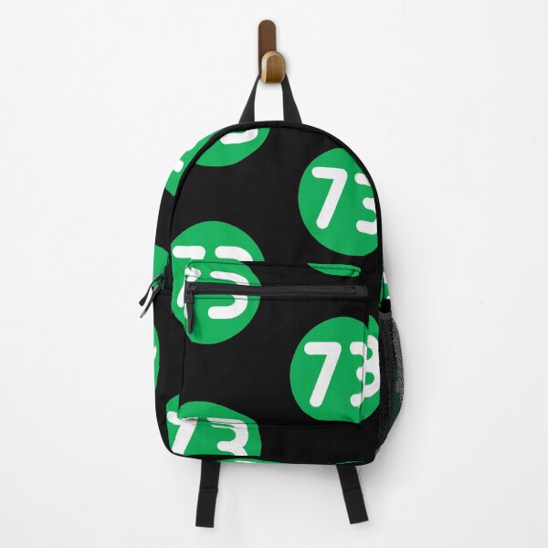 Item preview, Nerdy 73 Best Number Mirror Prime Math Teacher White Green designed and sold by MathWare MathClips.