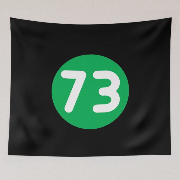 Item preview, Nerdy 73 Best Number Mirror Prime Math Teacher White Green designed and sold by MathWare MathClips.