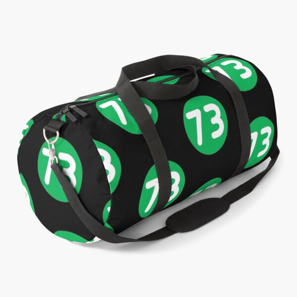 Item preview, Nerdy 73 Best Number Mirror Prime Math Teacher White Green designed and sold by MathWare MathClips.