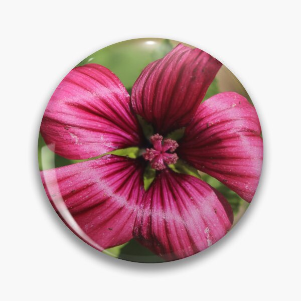 Item preview, Deep pink mallow flower - Soft nature photography designed and sold by Cha-s-lens.