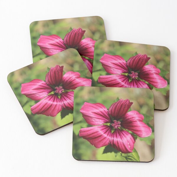 Item preview, Deep pink mallow flower - Soft nature photography designed and sold by Cha-s-lens.