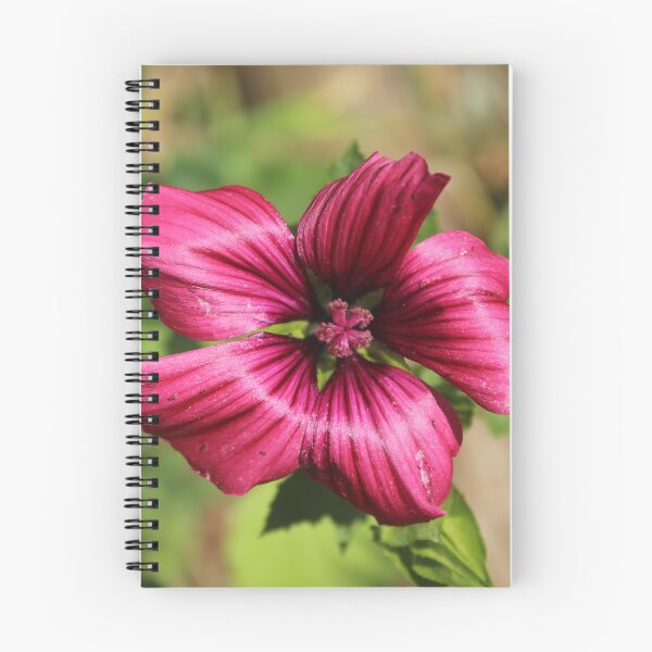 Item preview, Deep pink mallow flower - Soft nature photography designed and sold by Cha-s-lens.
