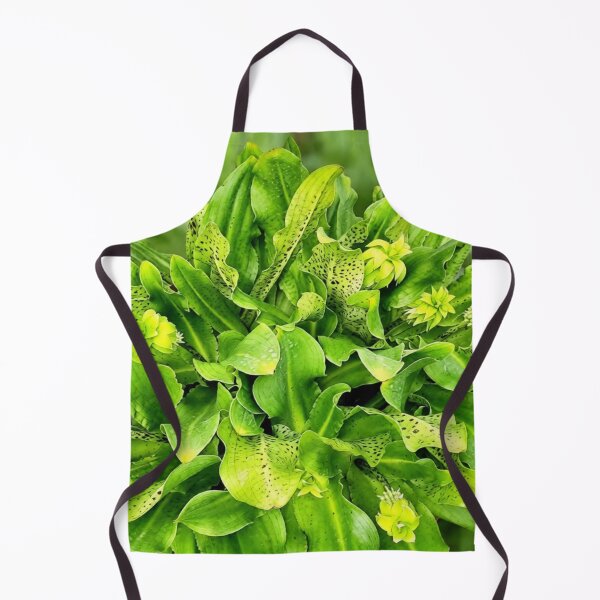 Item preview, Eucomis pineapple lily designed and sold by missmoneypenny.