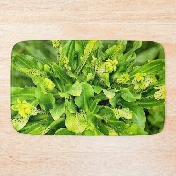 Item preview, Eucomis pineapple lily designed and sold by missmoneypenny.