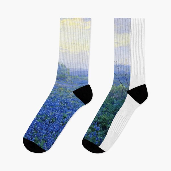 Item preview, A Cloudy Day, Bluebonnets near San Antonio (1918) by Julian Onderdonk designed and sold by PureVintageLove.