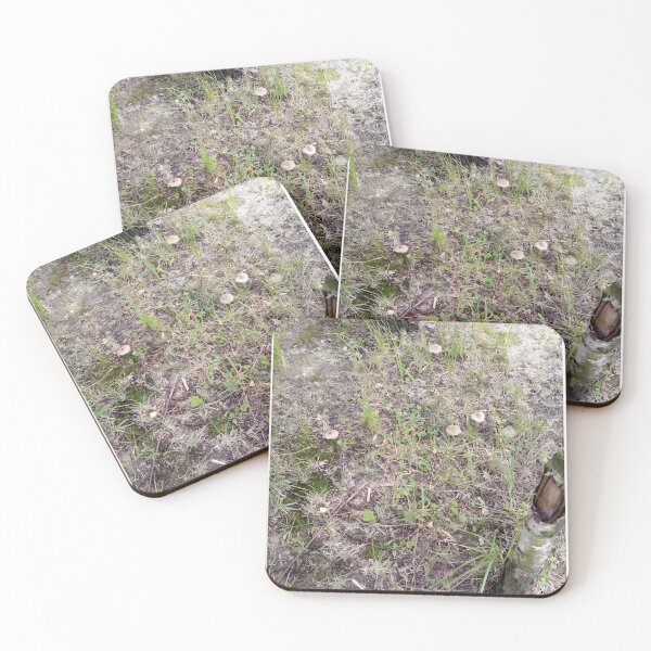 Item preview, Hidden Mushrooms in the Forest – Woodland Nature Photography designed and sold by Gabissq.
