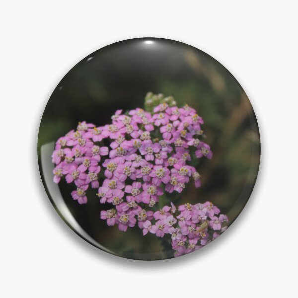 Item preview, Soft pink yarrow flower - Soft nature photography designed and sold by Cha-s-lens.