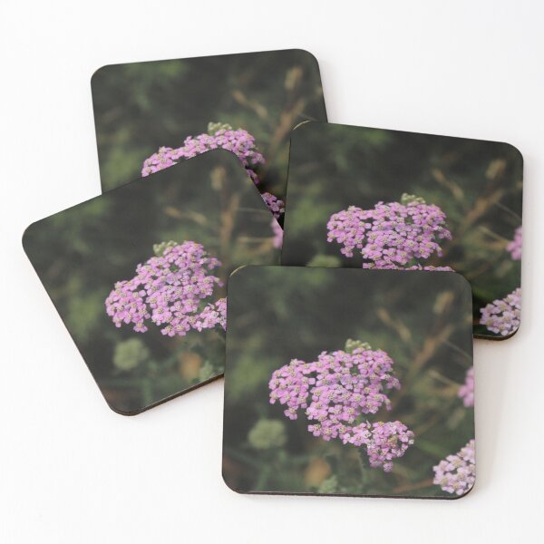 Item preview, Soft pink yarrow flower - Soft nature photography designed and sold by Cha-s-lens.