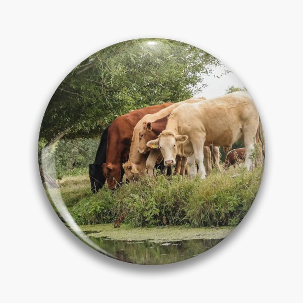 Item preview, Constable Country Cows near Dedham designed and sold by Angela Watts.