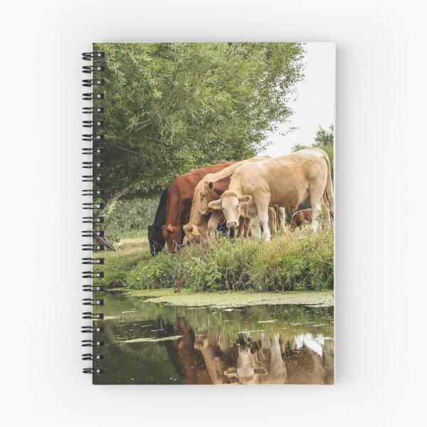 Item preview, Constable Country Cows near Dedham designed and sold by Angela Watts.