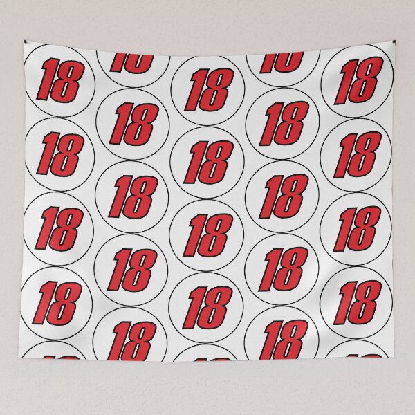 Item preview, Kyle Busch NASCAR Number Red with Black Trim White Circle Sticker #18  designed and sold by Rolographics1.