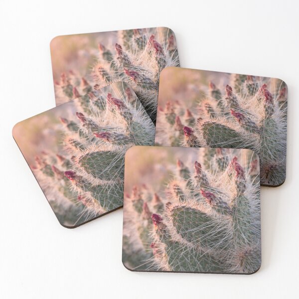 Item preview, Cactus Glow designed and sold by Laurenvschijnd.