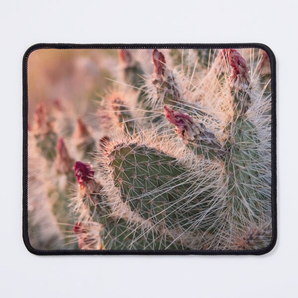 Item preview, Cactus Glow designed and sold by Laurenvschijnd.