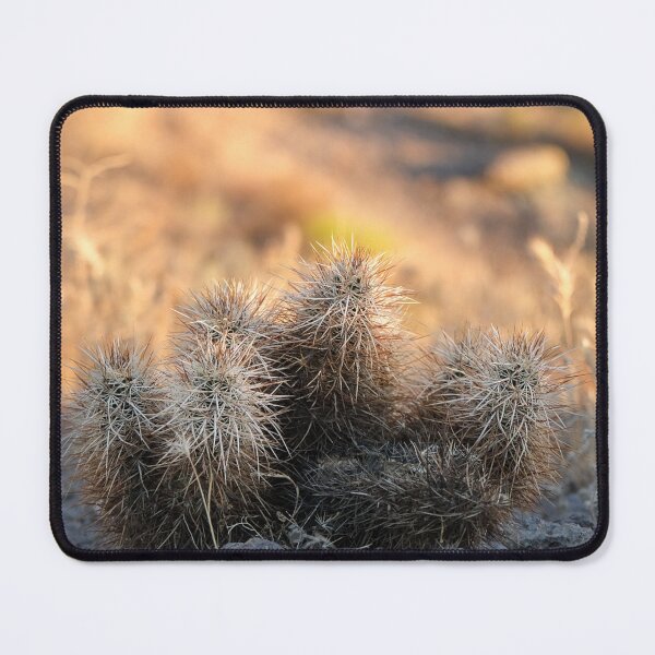 Item preview, Tiny Cactus designed and sold by Laurenvschijnd.