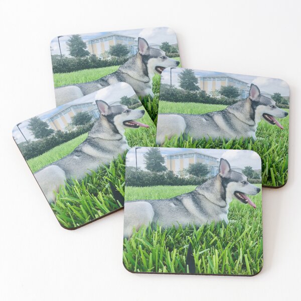 Item preview, Black and Grey Husky – In the Grass designed and sold by QuietBloomDHS.