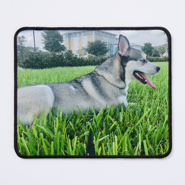 Item preview, Black and Grey Husky – In the Grass designed and sold by QuietBloomDHS.