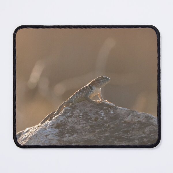 Item preview, Desert Spiny Lizard designed and sold by Laurenvschijnd.