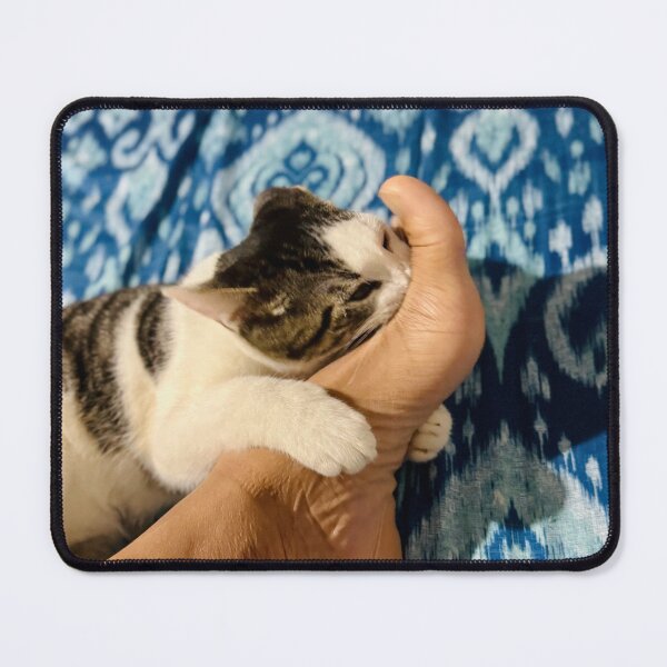 Item preview, Cat Hugging Feet – Soft Indoor Moment designed and sold by QuietBloomDHS.